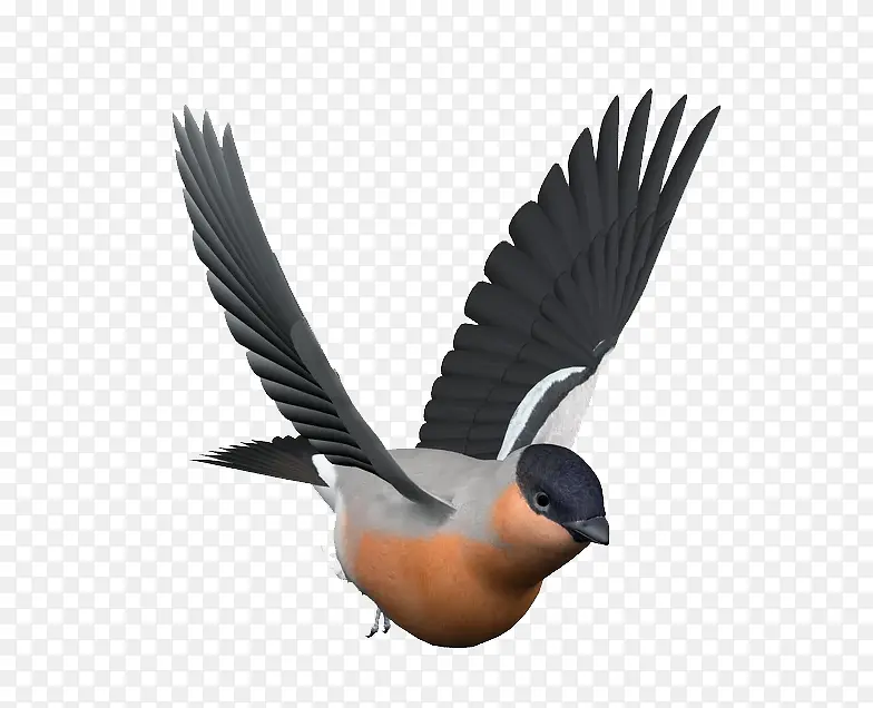 ���ŵ�С��-������