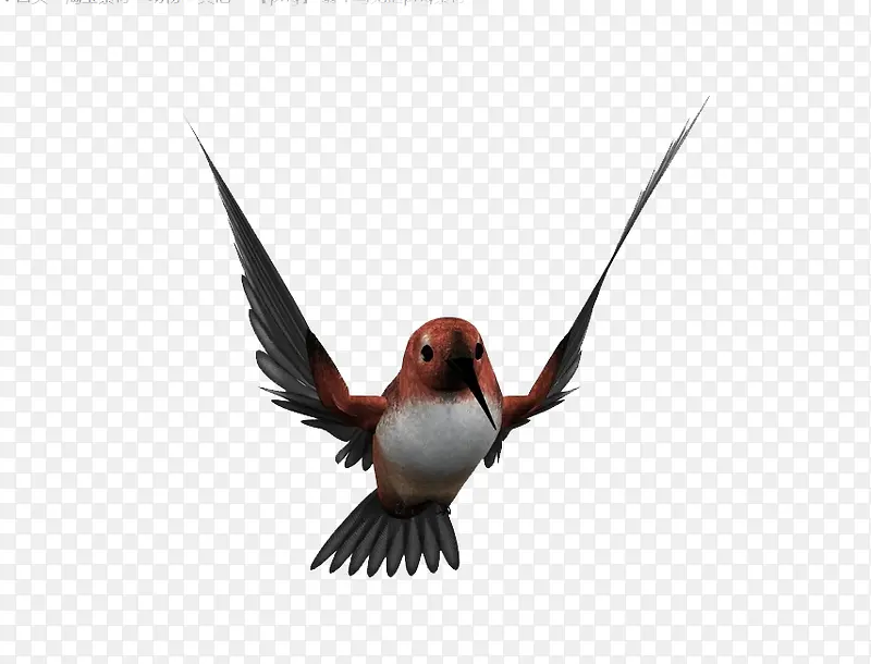 ���ŵ���-������