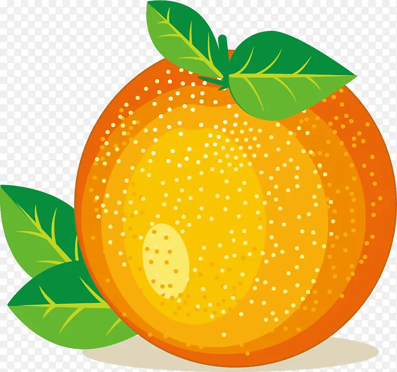 ��ӰԲ��ʸ��ˮ��-������