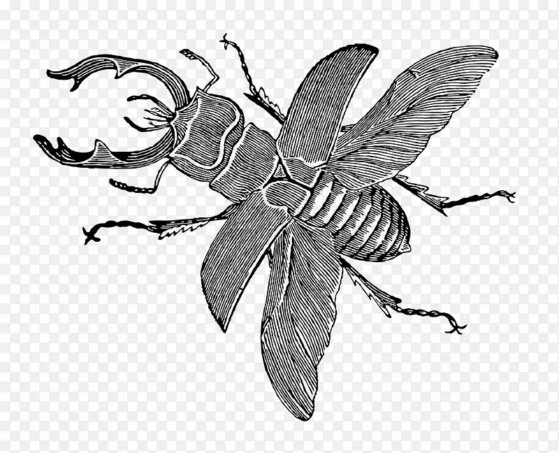 ��ɫ�ֻ�����װ��-������