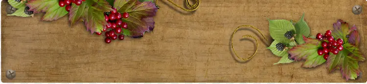 ������ľ��-������