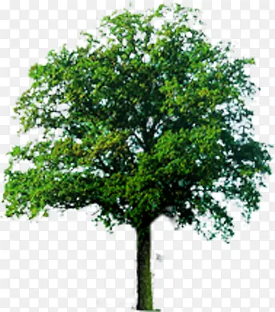 ��������������Ч����ͼ-������