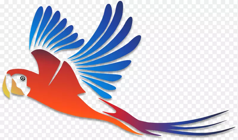 ǽ����ֽ���ո���ֽ.˫����-������