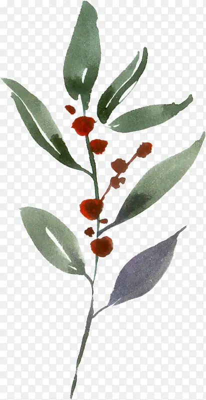 ˮ����Ҷ-������