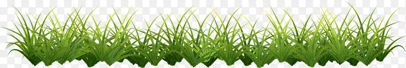 һ��С��-������