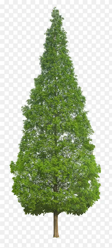 Ư������-������