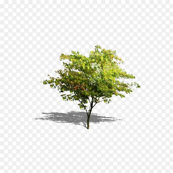 ��ɫ��ľ-������