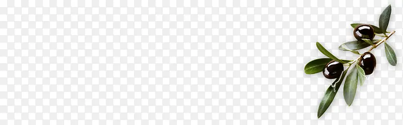 ��ɫ������֦-������