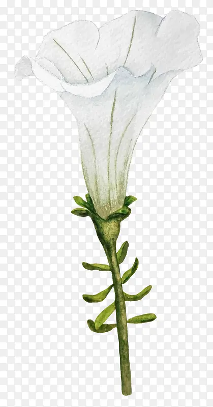 ˮ�ʻ����Ȼ�-������