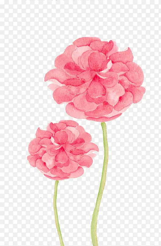 �ʻ��ʻ�-������