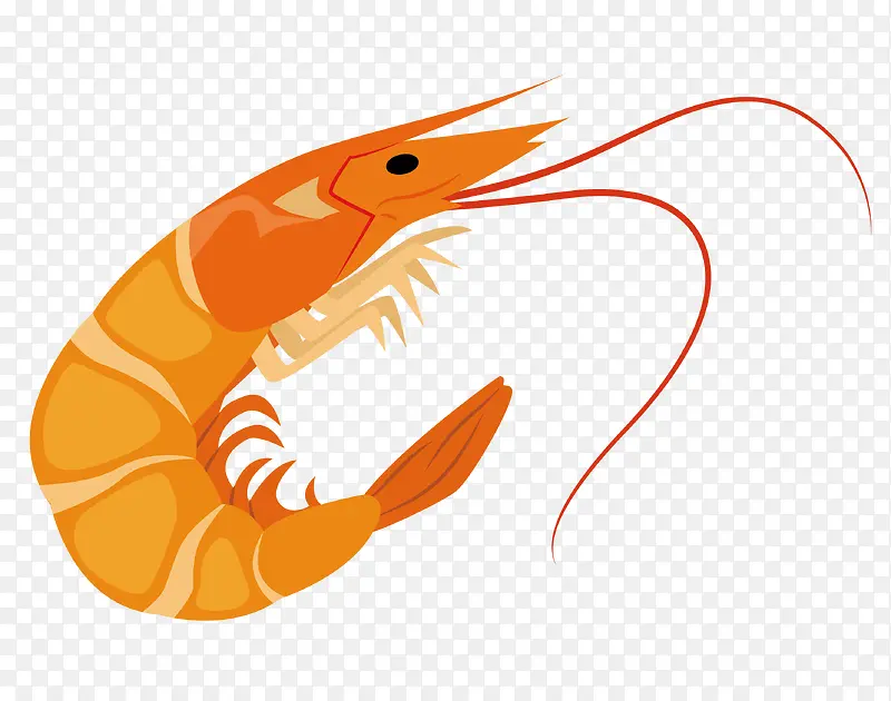 ��ͨ��Լ��ʳװ�ι�����Ϻ��-������