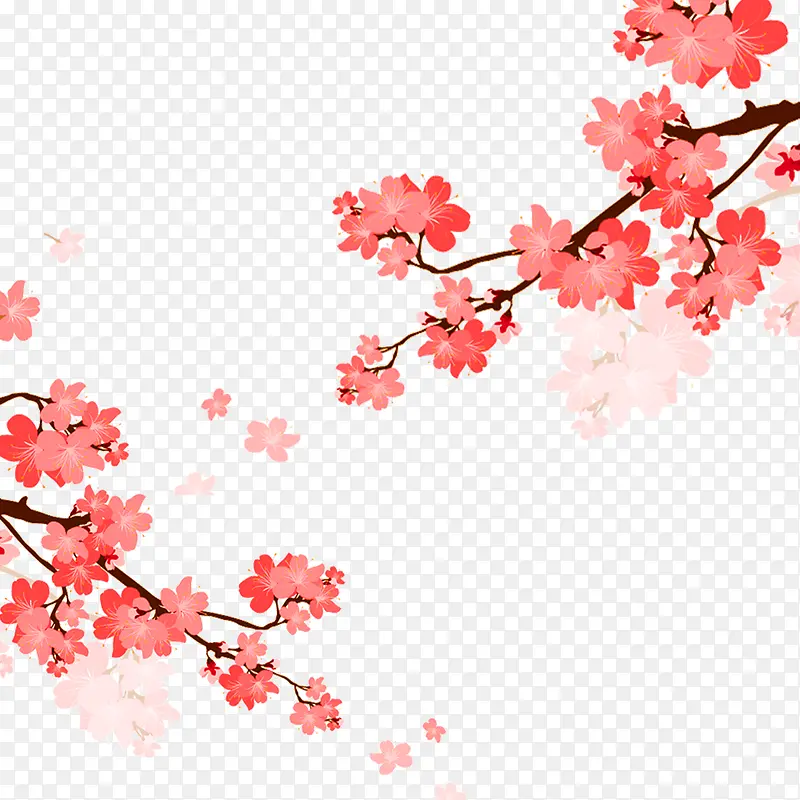 ����װ��ֲ����֦-������