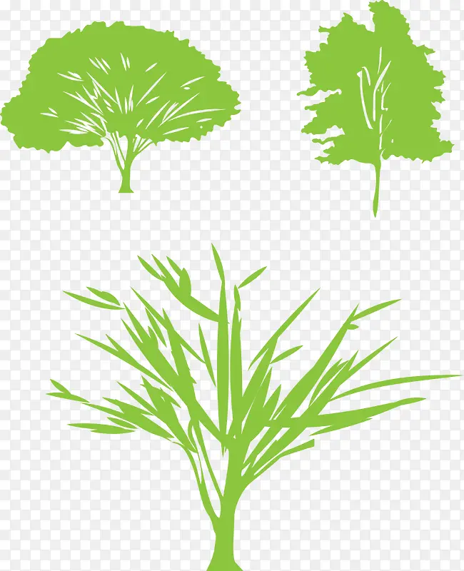 ����Ӱʸ��ͼ-������