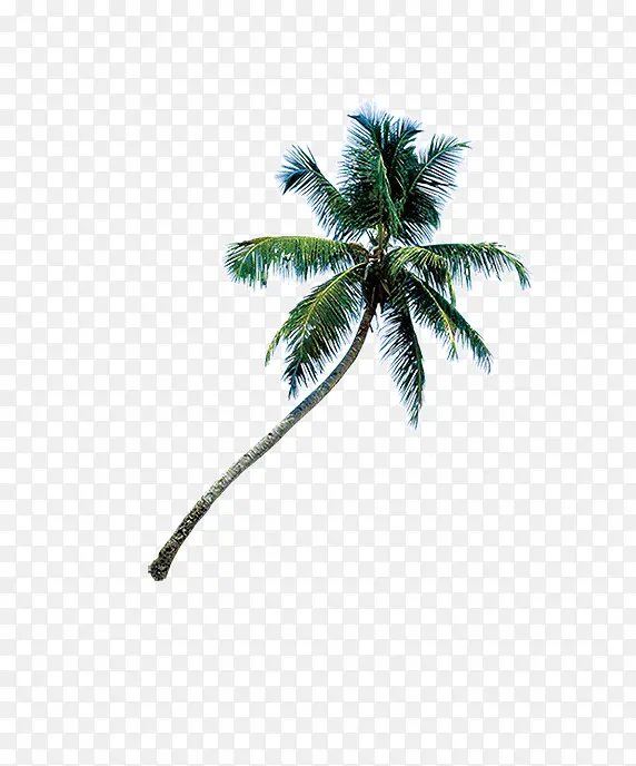 ����Ҭ����-������