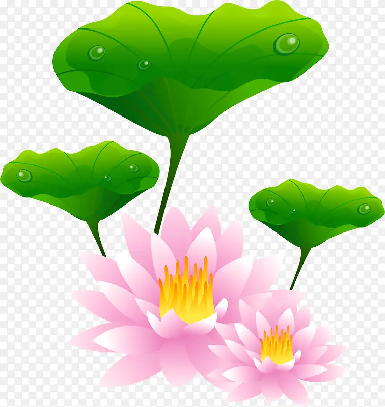 �ֻ�ɻ�-������