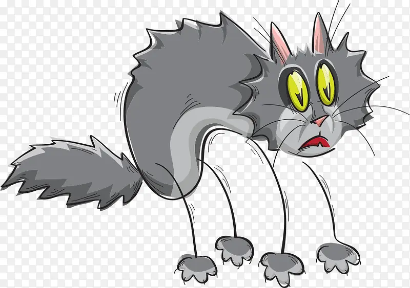 ��ͨ����è��-������