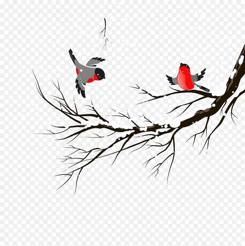 ��ѩ��֦-������