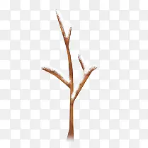 ������ѩ����-������