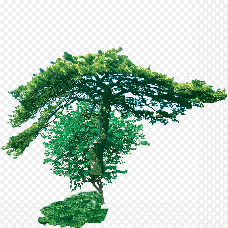 ����-������