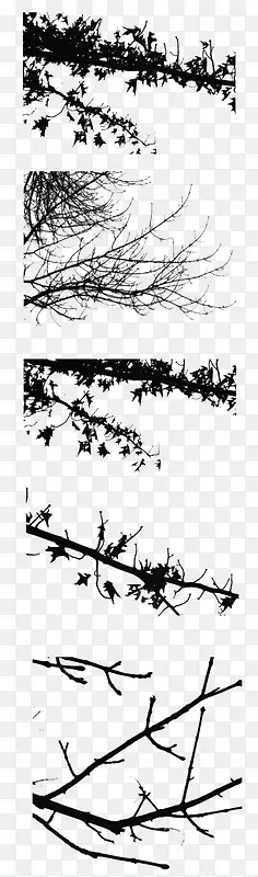 ˮī��֦-������