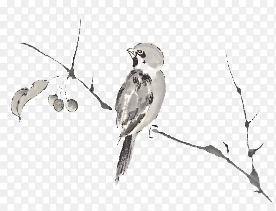 ��֦�ϵ�С��-������