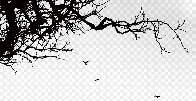 ��֦-������