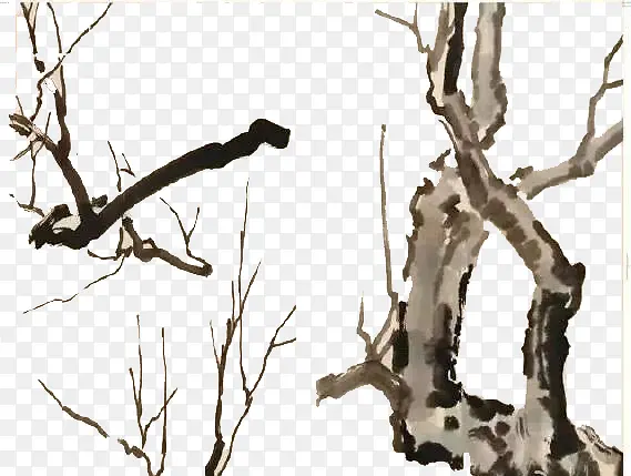 ������֦-������