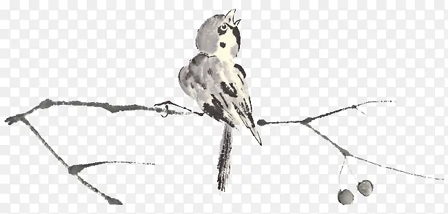 ˮī��֦�ϵ�С��-������