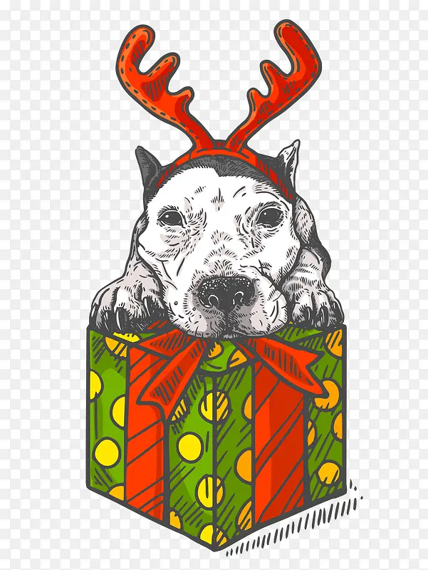 ��ͨ�ɰ�С����װ�ζ���ͷ�񹷹�-������