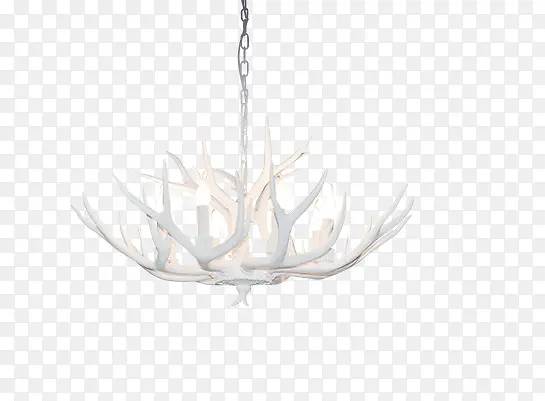 ����ϳ���֦��״����-������