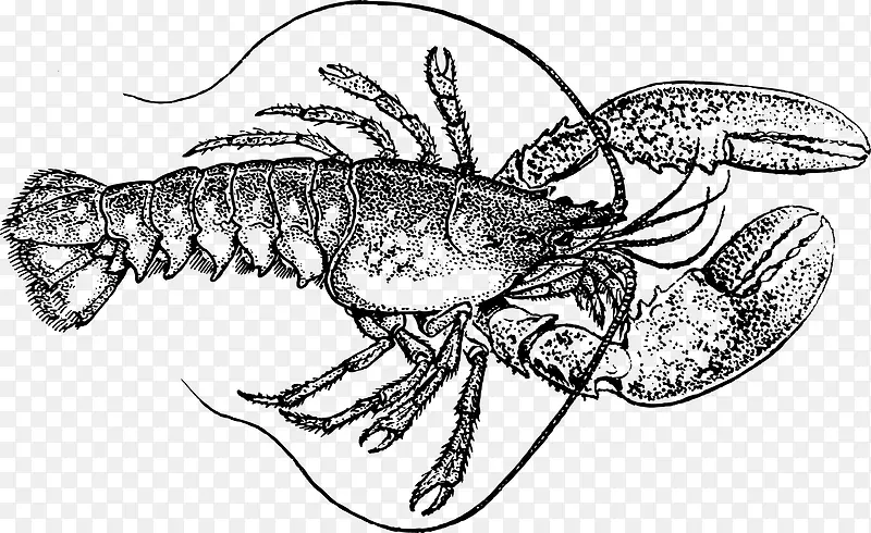 �ֻ�-������