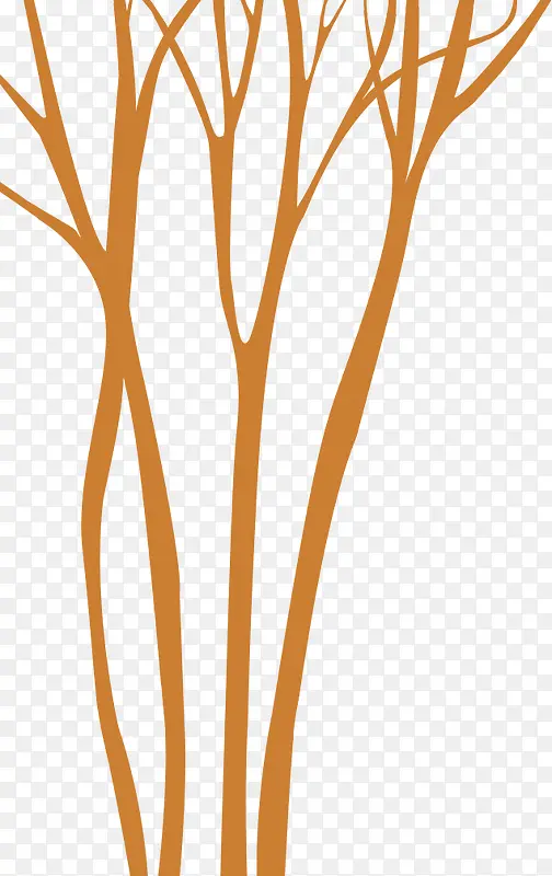 ��֦-������