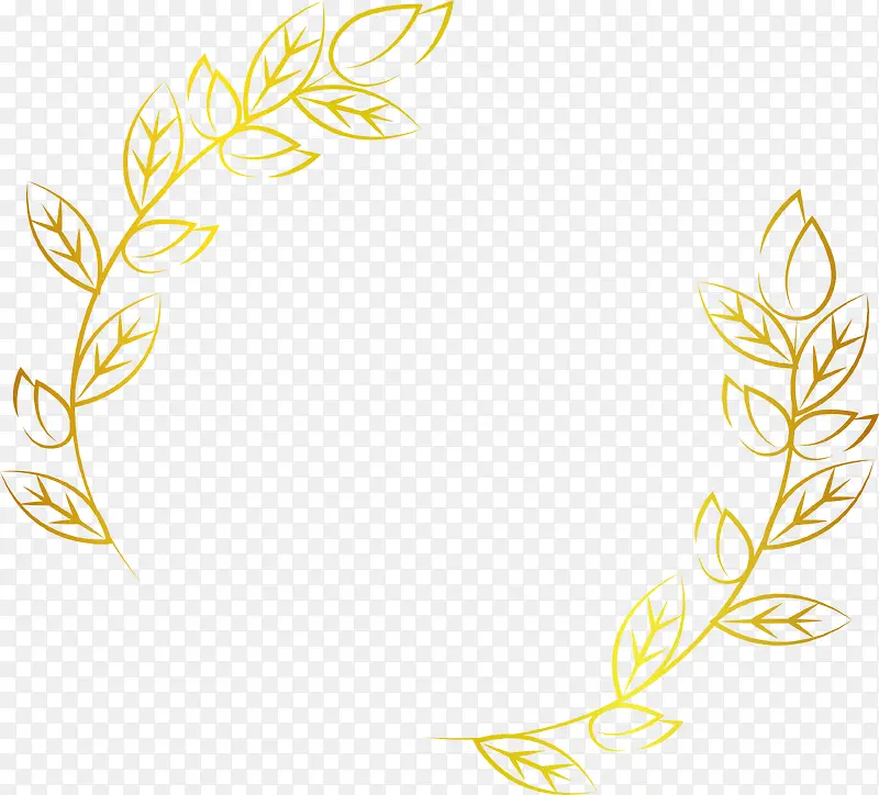 ��ɫ��֦�����-������