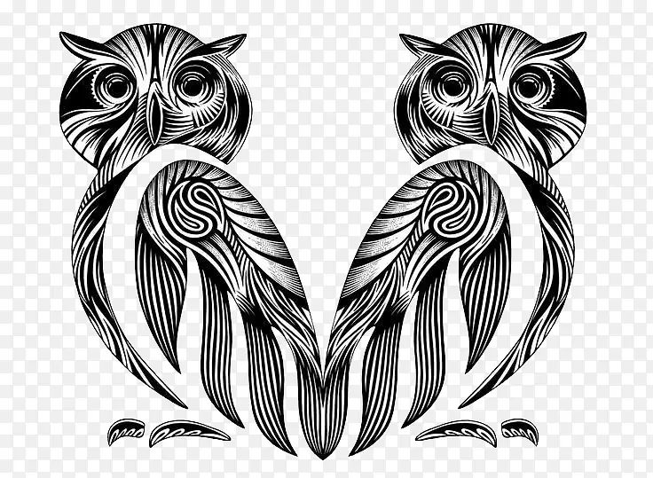 �ԳƵ�èͷӥ-������