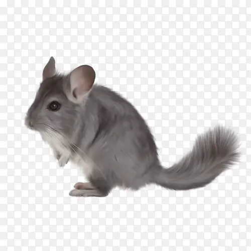 ��ɫ������-������