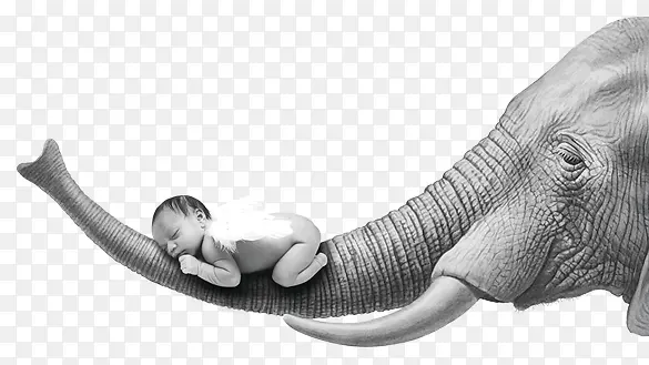 ����ſ��������ϵ�Ӥ��-������