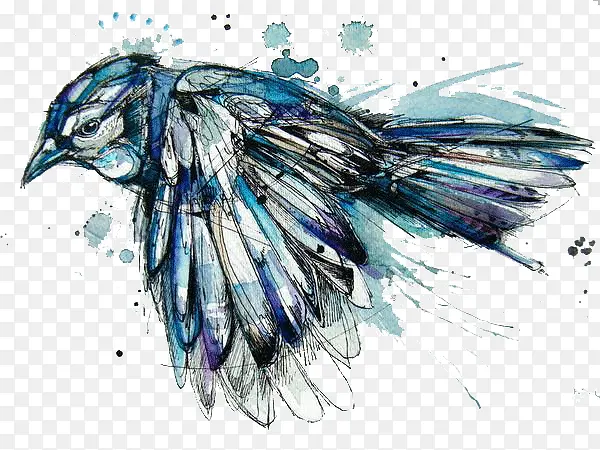 ��������С��ˮ�ʻ�-������