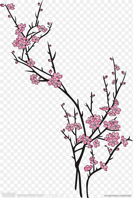 ֲ��-������