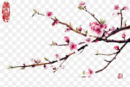 ֲ��-������