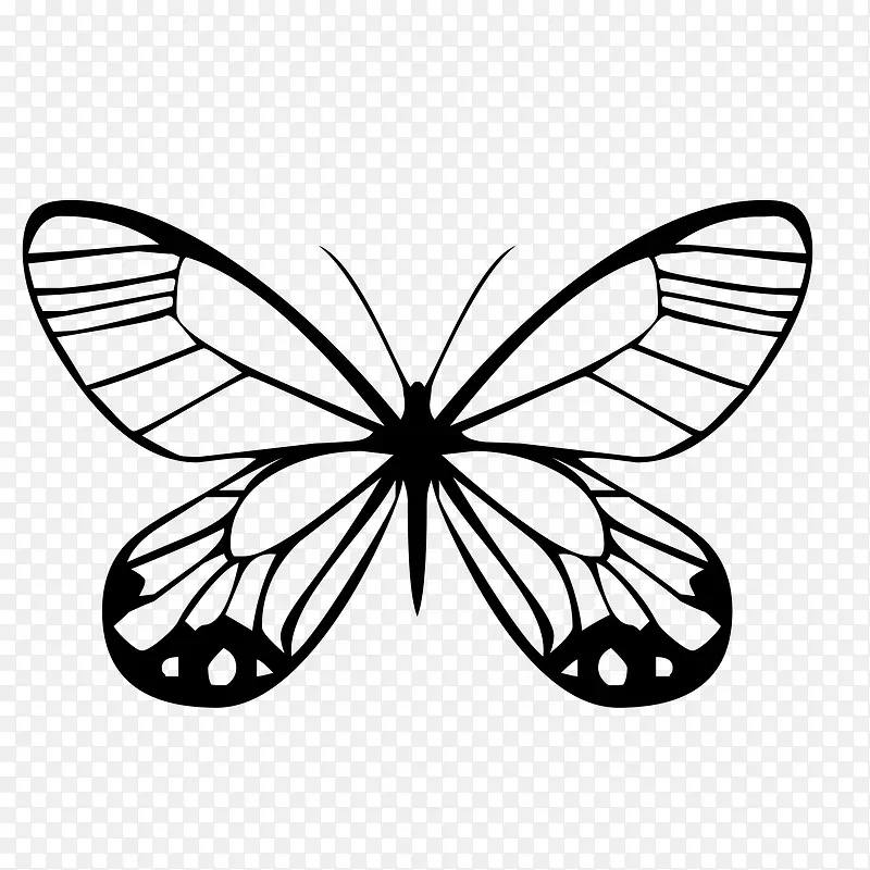 �ſ����ĺ���-������