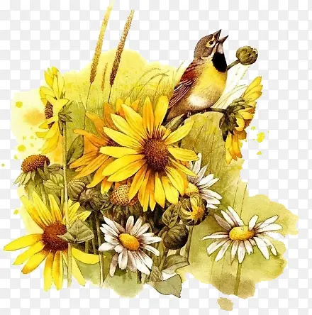 ���Ż�������ˮ��ͼ��-������