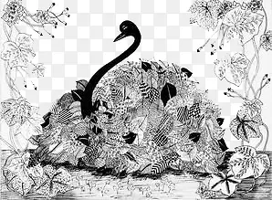 �ֻ涯��-������