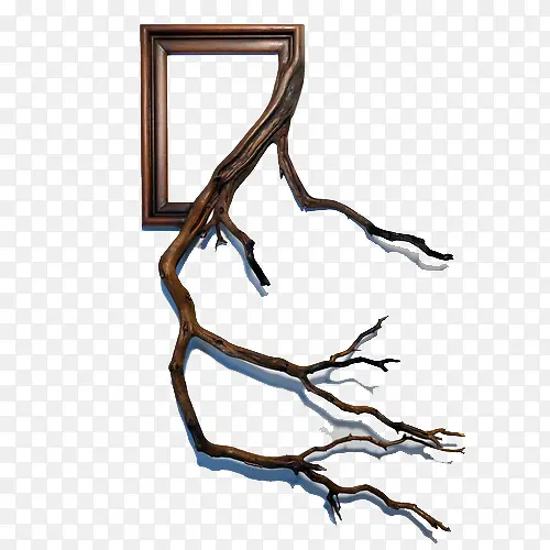 ��֦���װ��-������