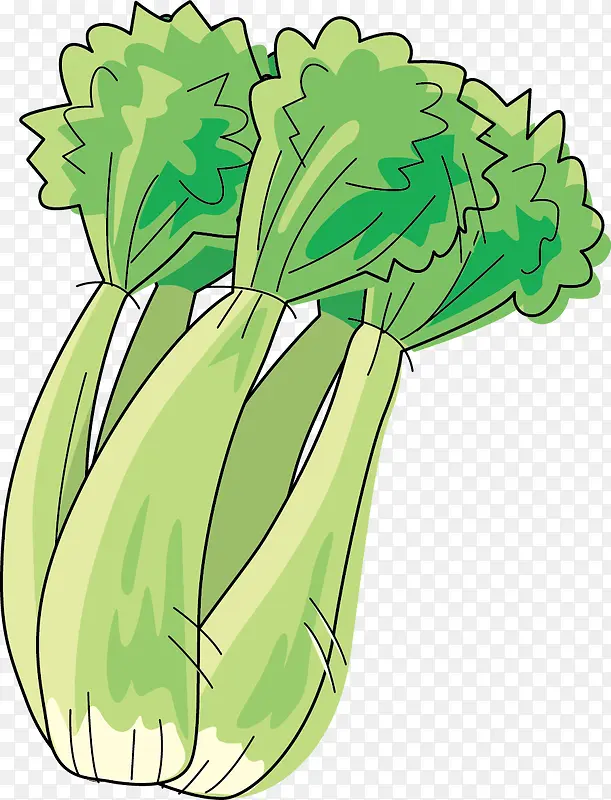 �߲˼�ͼ-������