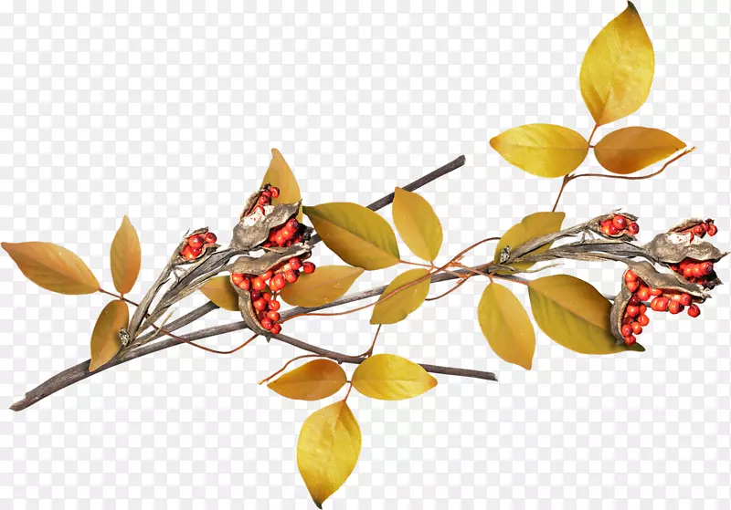 ��°¸���˹-���-������