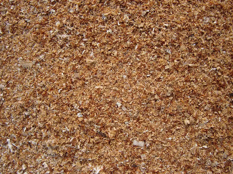 ľм����-������