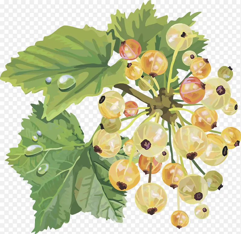 ˮ��ʸ��ͼ������-������