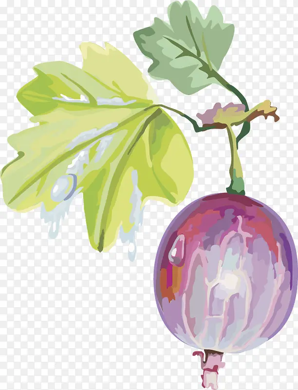 ��Խݮˮ��ӣ�ҵ����� ��ݮ-������