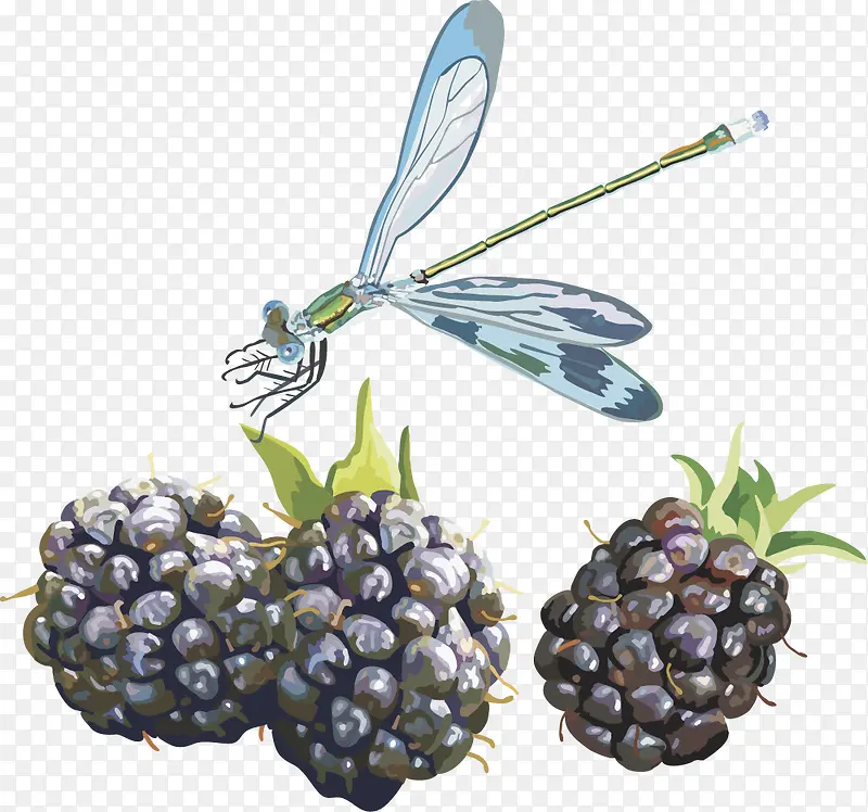 ˮ��ʸ��ͼɣ��-������