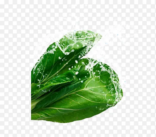 �߲�-������